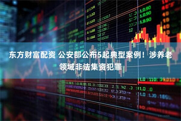东方财富配资 公安部公布5起典型案例！涉养老领域非法集资犯罪